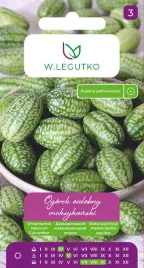 ogorek-meksykanski-nasiona-kukamelon-mini-arbuz-bardzo-smaczny