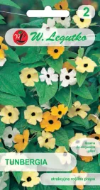 tumbergia-mieszanka-ozdobne-pnacze-05g-nasiona-nasiona-legutko