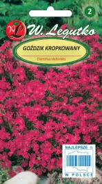 gozdzik-kropkowany-karminowoczerwony-nasiona