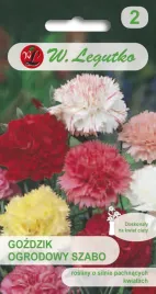 gozdzik-ogrodowy-szabo-mieszanka-nasiona-050g