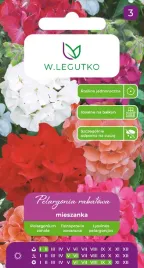 pelargonia-rabatowa-mieszanka-kolorow-efektowne-kwiaty-nasiona