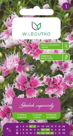 gozdzik-wspanialy-geste-kwiaty-odcienie-rozu-nasiona