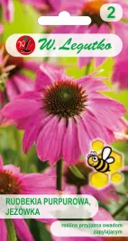 rudbekia-purpurowa-jezowka-rozowa-nasiona