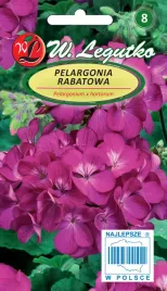 pelargonia-rabatowa-fioletowa-idealna-na-balkon-taras-legutko-nasiona
