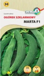 ogorek-szklarniowy-dlugi-wezowaty-marta-1g-wczesny-partenokarpiczny
