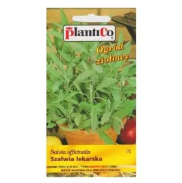 plantico-szalwia-lekarska-1g-wieloletnia-lecznicza-aromatyczna-zdrowa