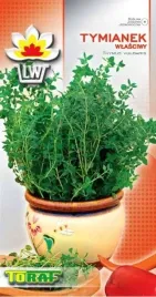 tymianek-wlasciwy-pospolity-nasiona-aromatyczne-ziolo-toraf-wieloletni