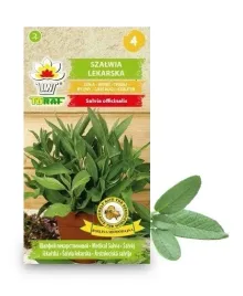 szalwia-lekarska-lecznicza-wieloletnia-ziolo-toraf-1g