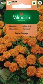 aksamitka-rozpierzchla-petite-orange-1g-vilmorin-pomaranczowe-pelne-kwiaty