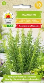 rozmaryn-lekarski-01-g-toraf-nasiona-wieloletni-ziola-przyprawa