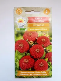 cynia-daliowa-czerwona-piekne-aksamitne-kwiaty-1g-na-kwiaty-ciete-do-80cm