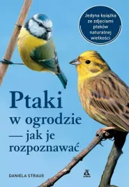 ptaki-w-ogrodzie-jak-je-rozpoznawac