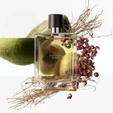 hermes-terre-dhermes-eau-intense-vetiver-edp-100ml-stan-nowy