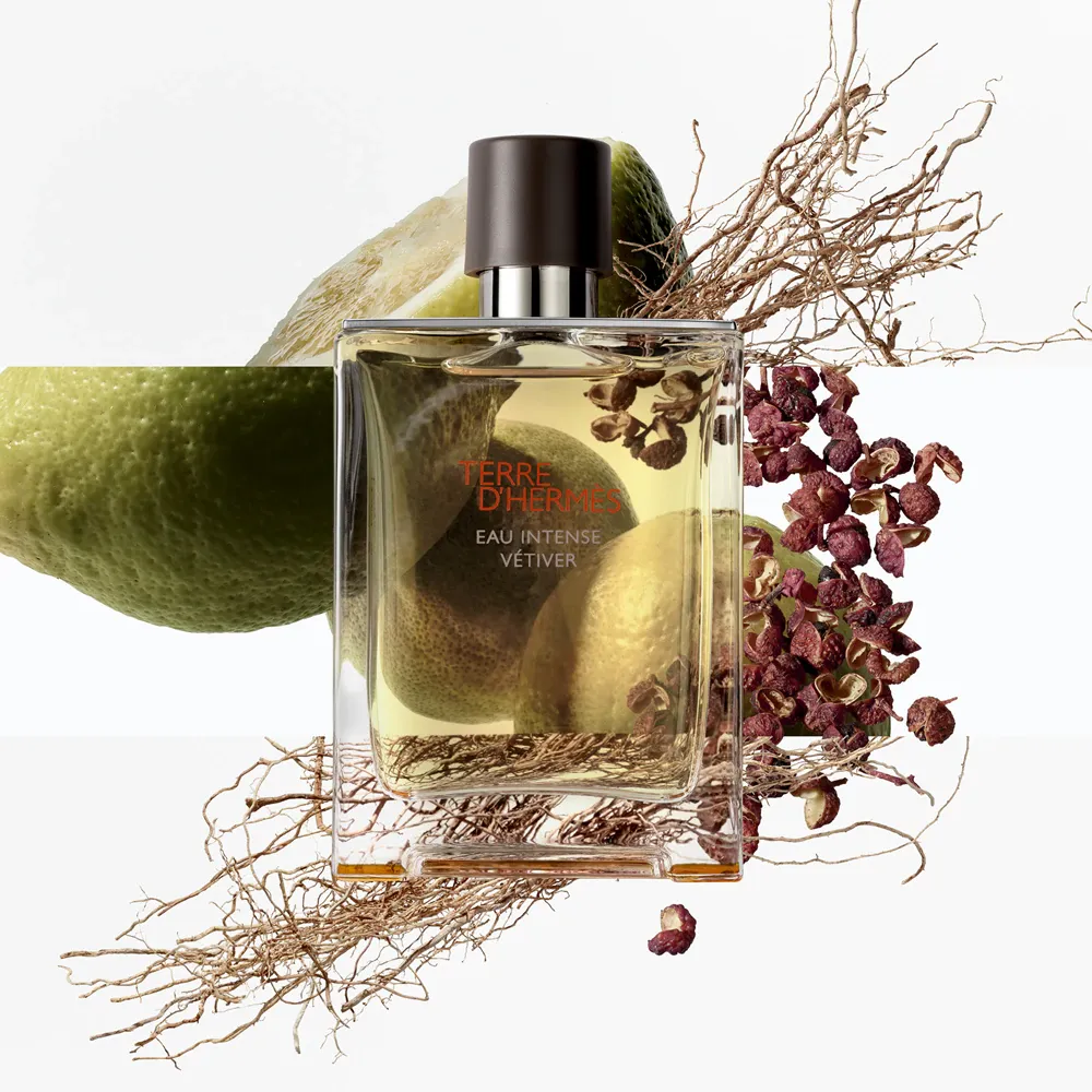 hermes-terre-dhermes-eau-intense-vetiver-edp-100ml