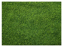 1kg-glopex-algen-gran-granulat-ze-spirulina-pokarm-dla-ryb-05-08mm