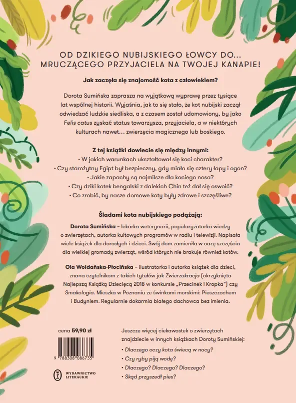 skad-przyszedl-kot-stan-nowy