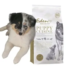 eden-puppy-cuisine-rasy-male-2kg