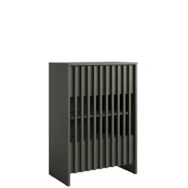 dwudrzwiowa-komoda-60-cm-velvio-z-lamelami-do-przedpokoju-szary-grafit