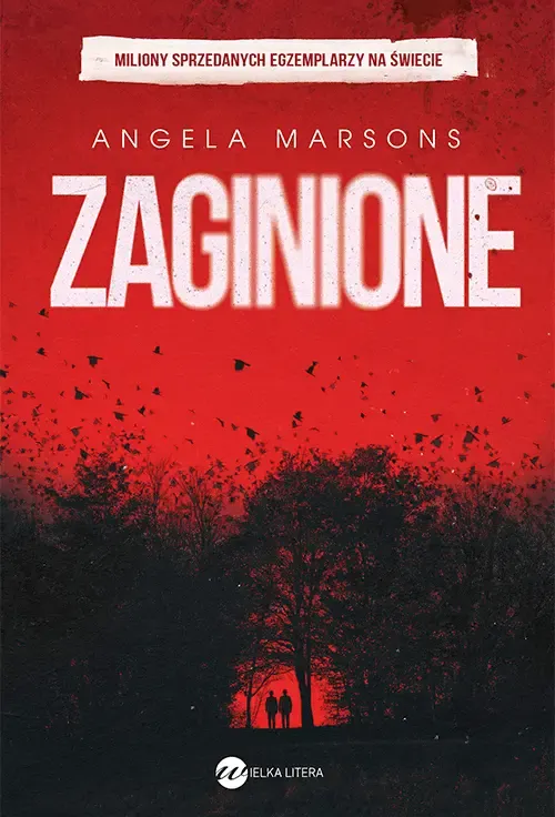 zaginione