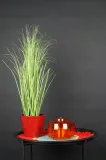 owadolapka-pulapka-na-owady-braz-rodzaj-pulapka-producent-inna