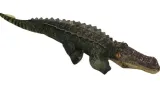 maskotka-pluszowy-krokodyl-pluszak-75-cm