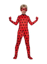 biedronka-i-kot-stroj-karnawalowy-na-bal-116