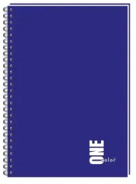 kolozeszyt-a4-100k-w-kratke-one-color-interdruk