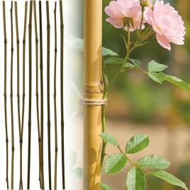podpora-tyczka-bambusowa-do-roslin-kwiatow-60cm-zestaw-10-szt-progarden