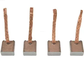 szczotki-rozrusznika-as-pl-sb6007