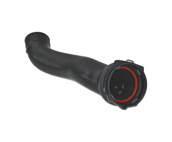 waz-do-intercoolera-do-ford-mustang-2024-2617533-lewa