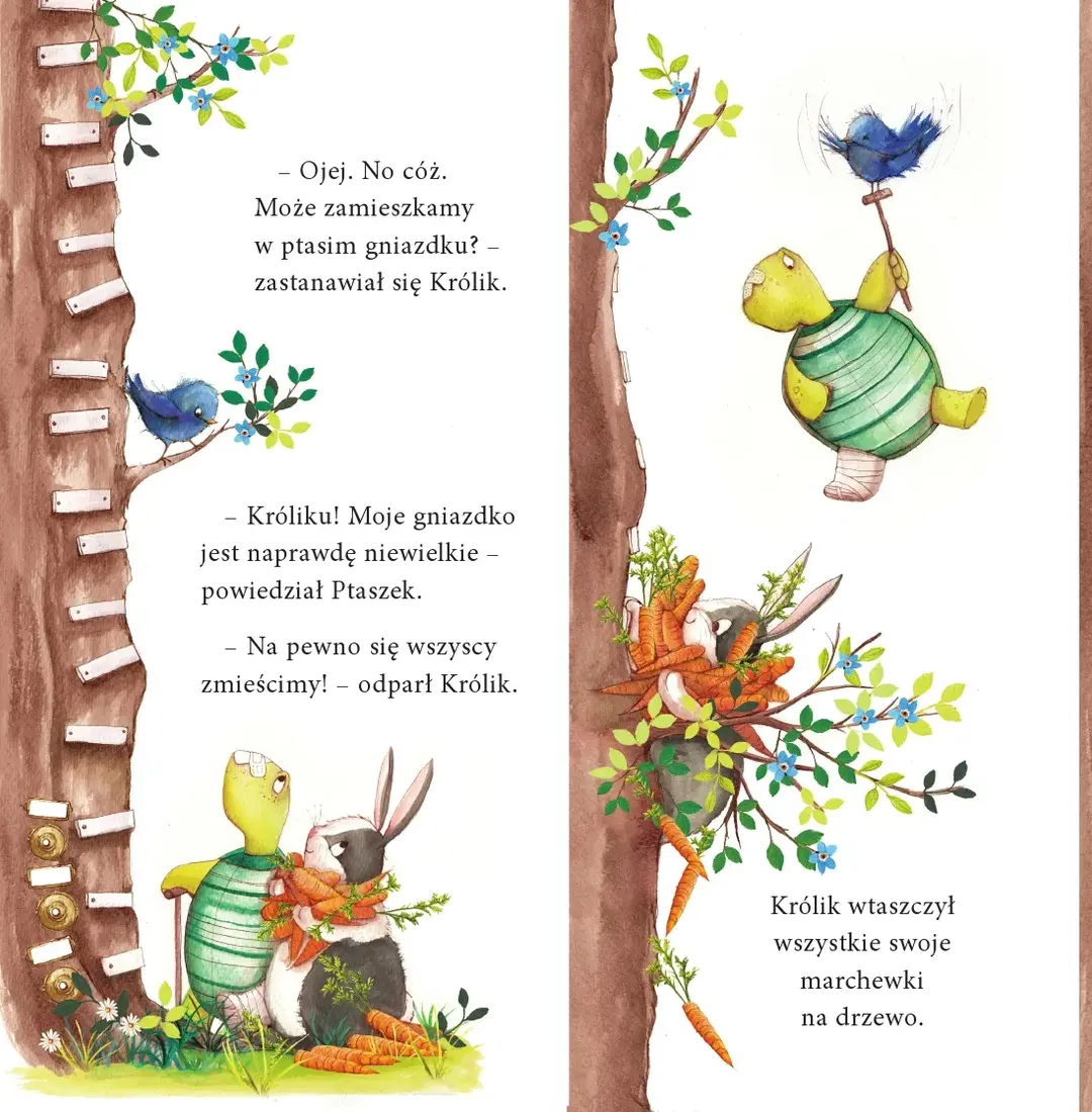 amberek-za-duzo-marchewek-stan-nowy