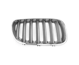 grill-atrapa-do-bmw-x5-e53-2004-2006-51137124816-prawa-tytan