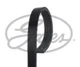 pasek-wielorowkowy-gates-gates-5pk628-620sf-gates-typ-samochodu-samochody-osobowe