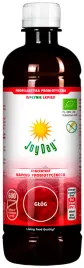 koncentrat-napoju-probiotycznego-glog-bezglutenowy-bio-500-ml-joy-day