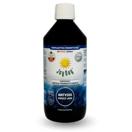 koncentrat-napoju-probiotycznego-owoce-lasu-bezglutenowy-bio-500-ml-joy-day