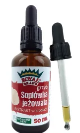 grzyby-soplowka-jezowata-lion-s-mane-ekstrakt-w-kroplach-50-ml-royal-bran