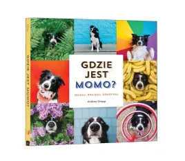 gdzie-jest-momo-andrew-knapp
