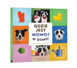 gdzie-jest-momo-w-domu-andrew-knapp