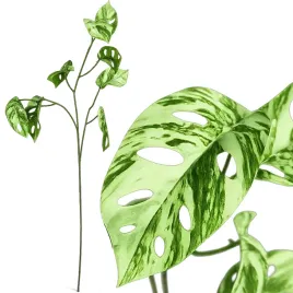 monstera-sztuczna-galazka-78cm-sztuczne-kwiaty-ozdobna-roslina-xl-3-ramiona