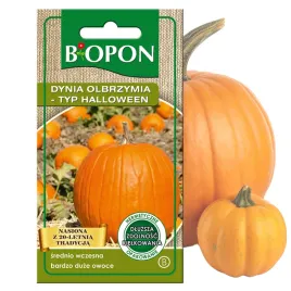 dynia-olbrzymia-typ-halloween-3g