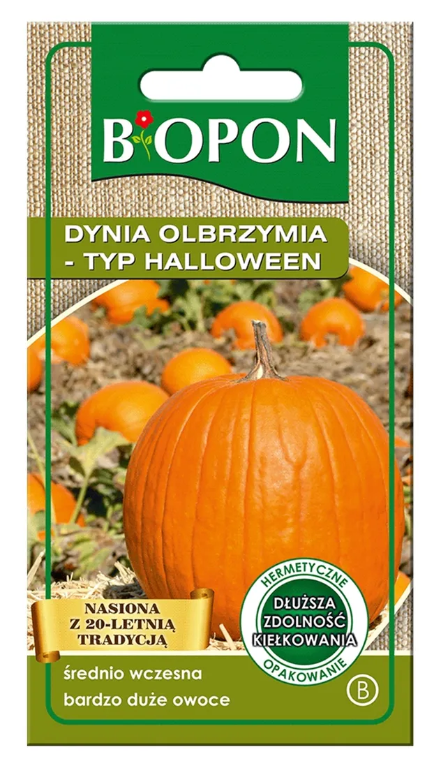 dynia-olbrzymia-typ-halloween-3g