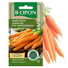 marchew-jadalna-typ-amsterdam-4g-nasiona