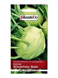 kalarepa-wiedenska-bardzo-wczesna-soczysta-nasiona-warzyw