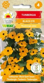 tunbergia-pomaranczowa-black-eye-pnaca-nasiona-05g
