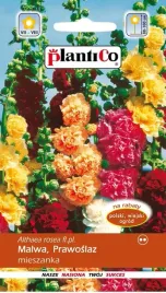 malwa-ogrodowa-chaters-mix-1g-nasiona-plantico-prawoslaz-mix-klorow