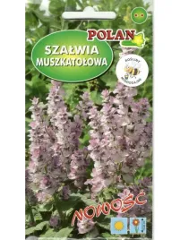 nasiona-szalwia-muszkatolowa-05g-polan-ponad-125-nasion