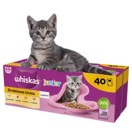 whiskas-junior-drobiowa-uczta-mokra-karma-dla-kociat-w-galaretce-40x85-g