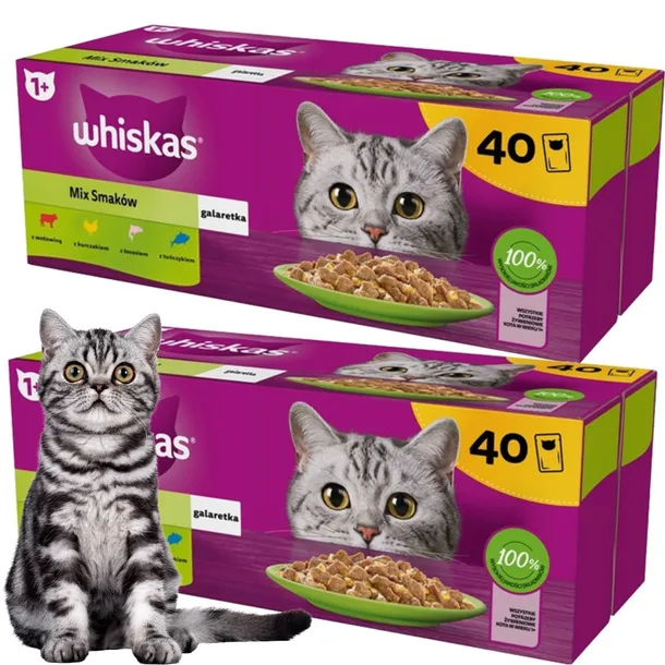 WHISKAS MOKRA KARMA DLA KOTA MIX SMAKÓW W GALARETCE 85g x 80