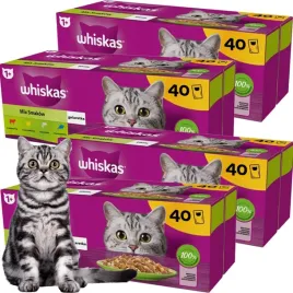 whiskas-mokra-karma-dla-kota-mix-smakow-w-galaretce-85g-x-160