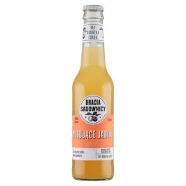 bracia-sadownicy-napoj-musujace-jablko-275-ml